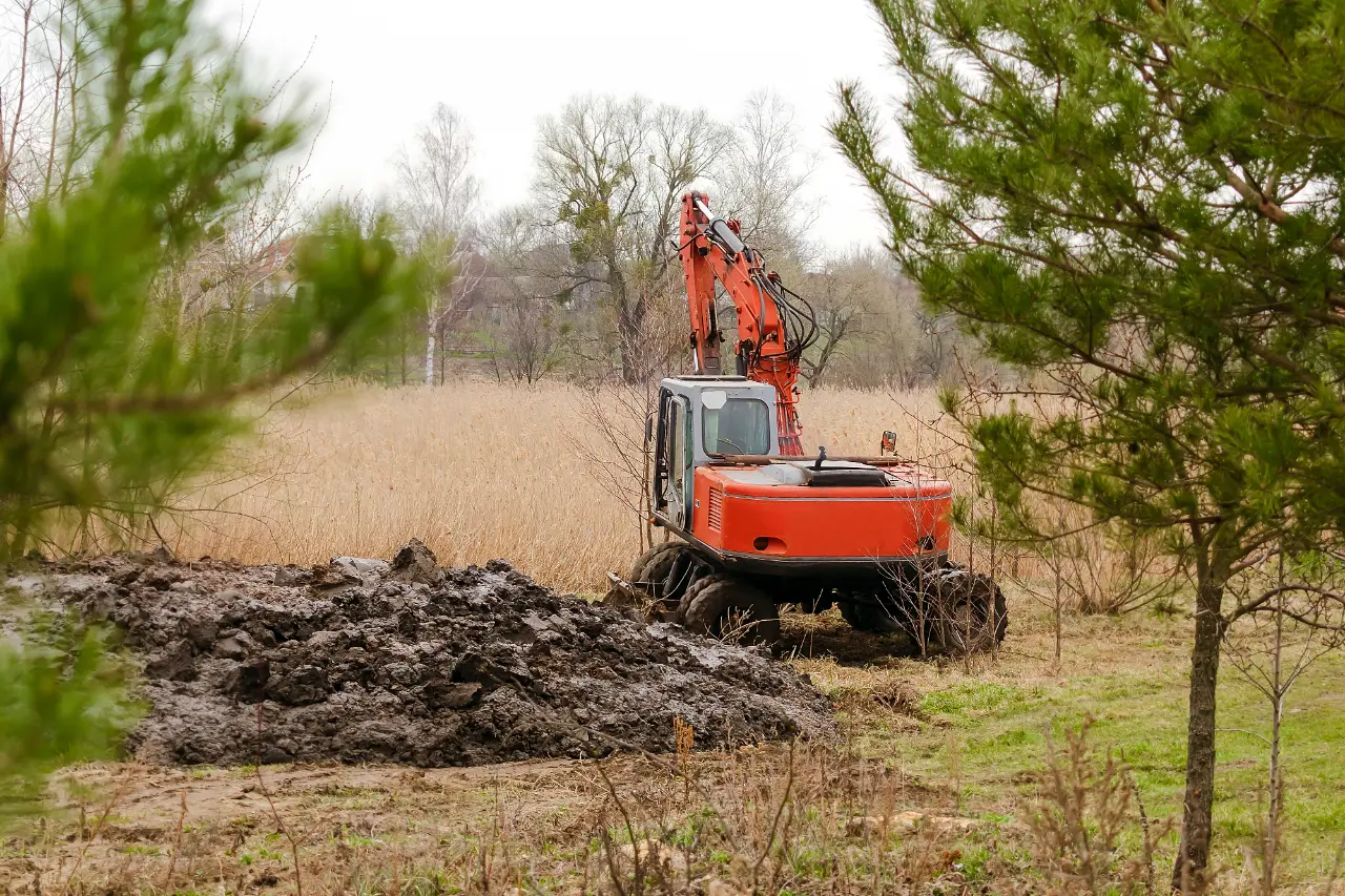 Tree and stump removal during land clearing in New York