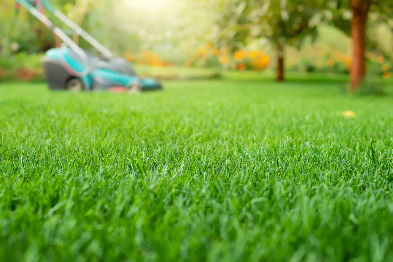 Lawn care and aeration services in New York