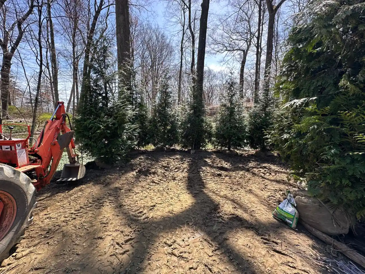 Overgrown lot cleared in Westchester County NY — J Martinez Construction