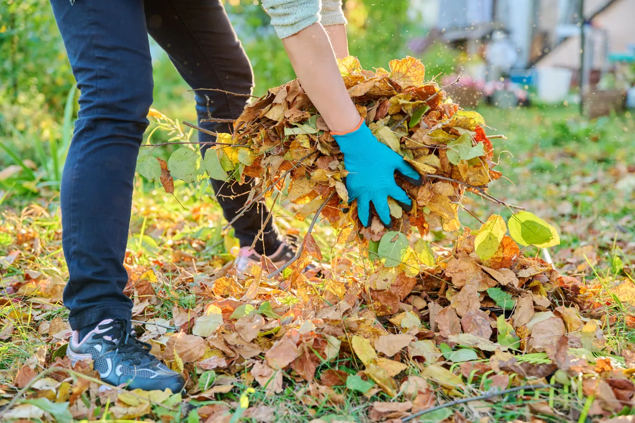 Spring and fall seasonal cleanup services in New York