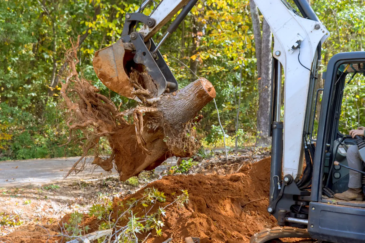 Stump grinding services in New York