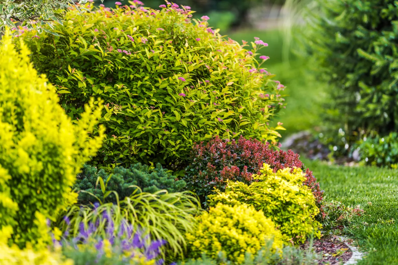 Residential garden and landscape installation in New York