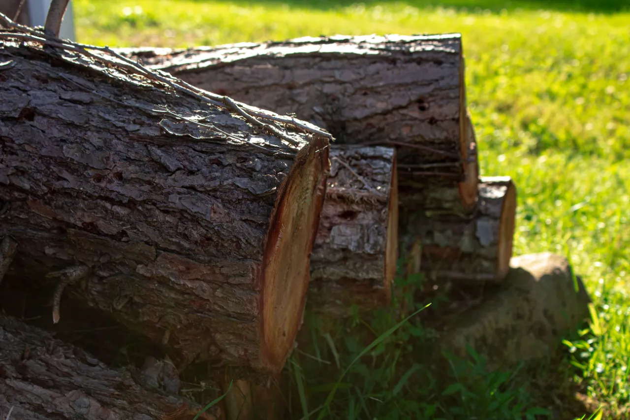 Property-wide stump grinding in New York — J Martinez Construction