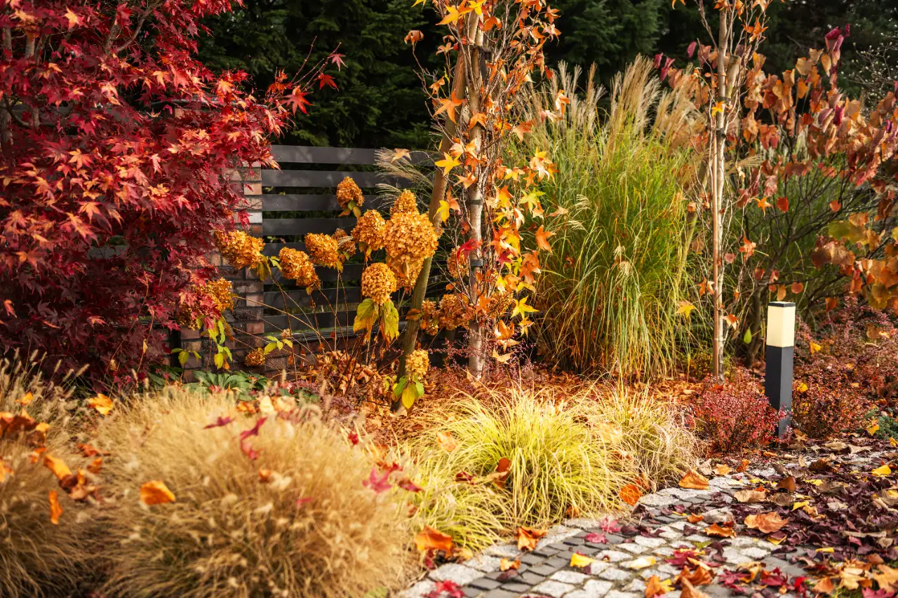 Spring cleanup service in New York — J Martinez Construction