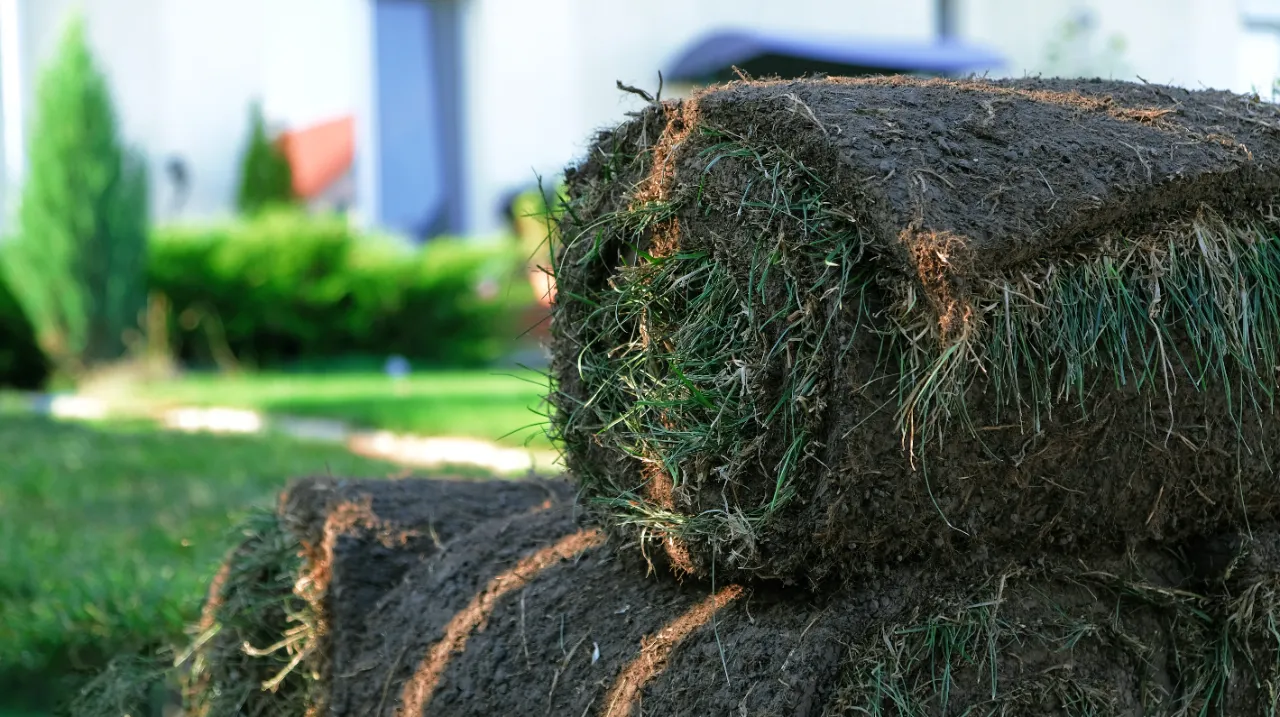 Sod and mulch installation in New York — J Martinez Construction