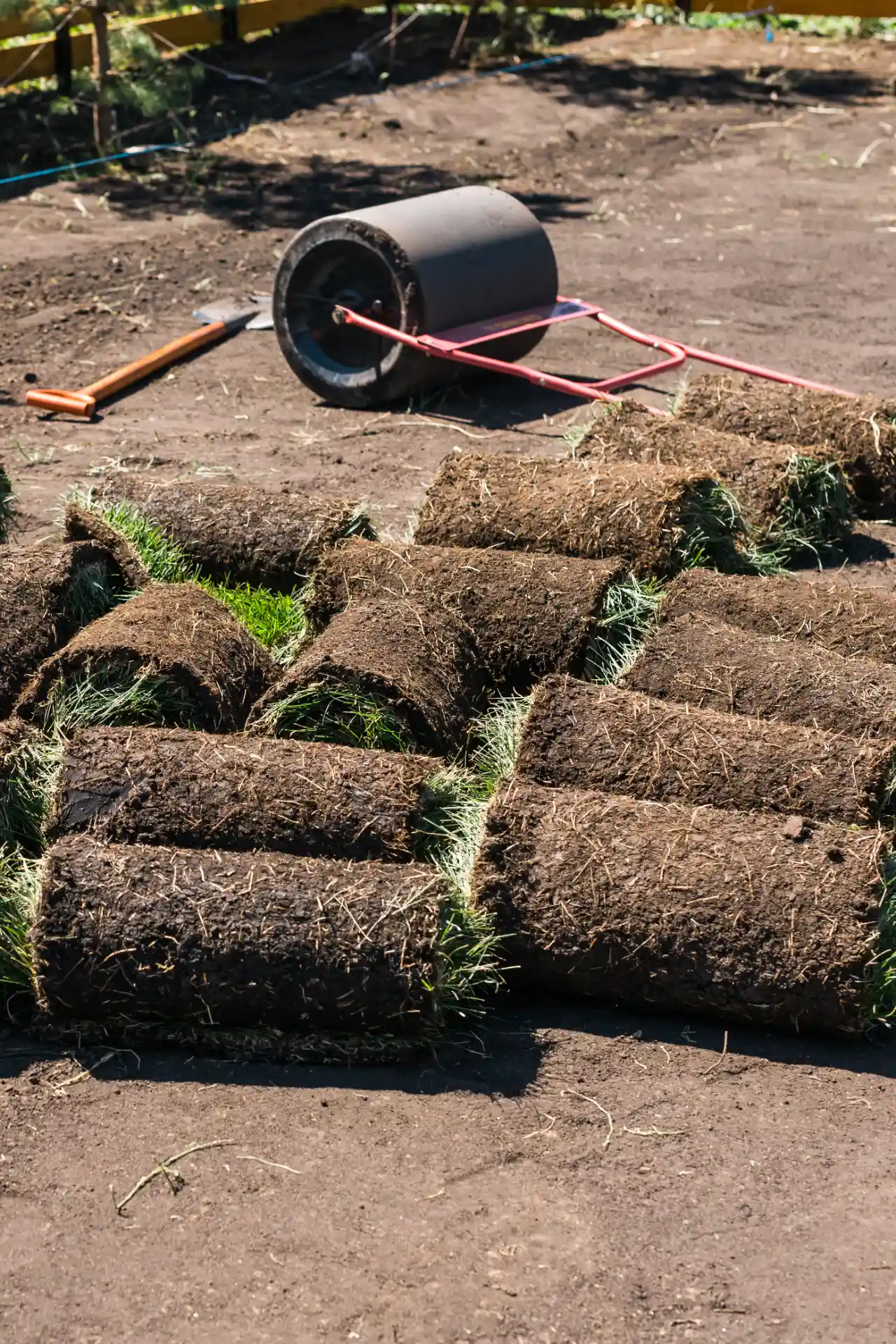 Sod installation vs overseeding comparison on New York residential lawn