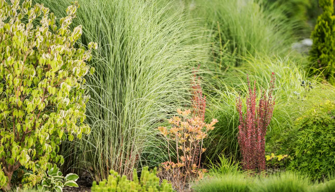 Garden bed design and planting in Putnam County NY — J Martinez Construction