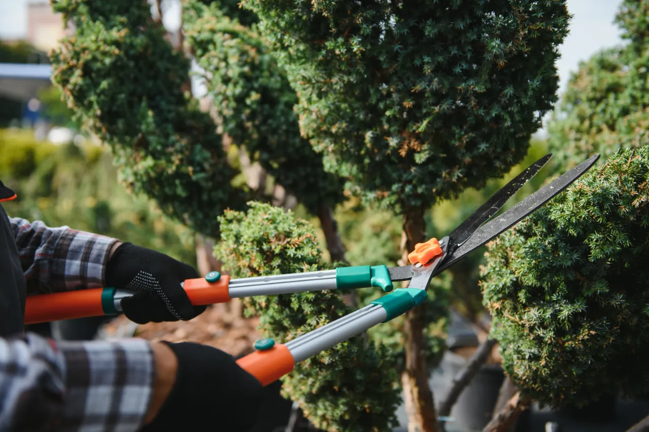 Hedge trimming service in Westchester County NY — J Martinez Construction