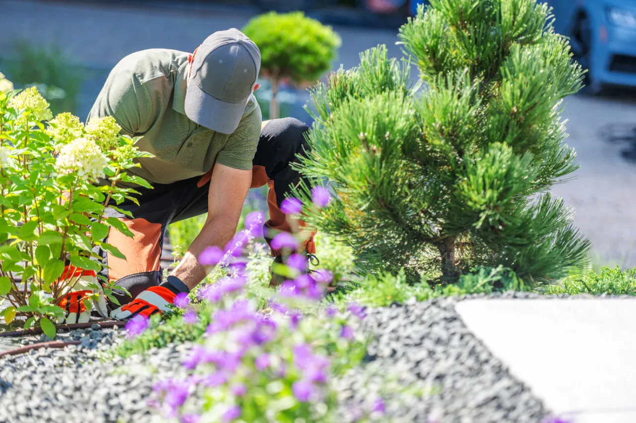 Professional landscape design in New York — J Martinez Construction