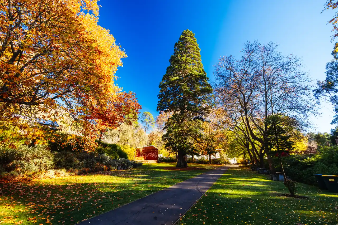 Property after professional fall cleanup in Westchester County NY