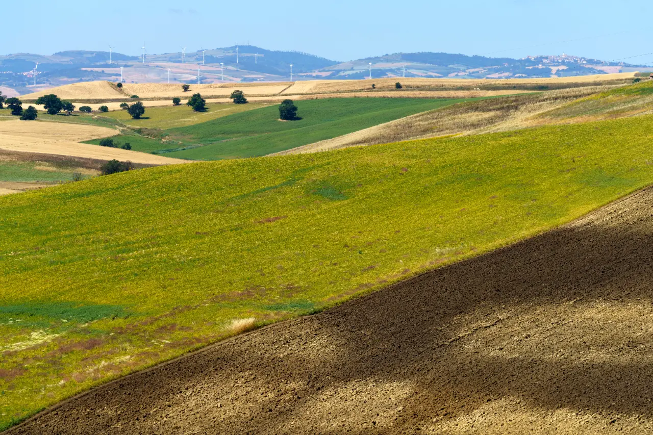 Professional land clearing in New York — J Martinez Construction