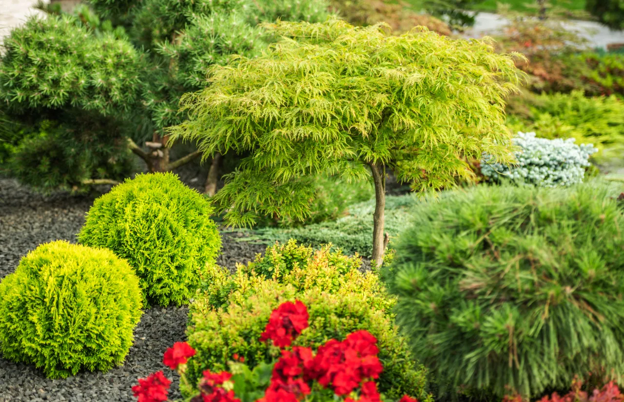 Custom landscape installation in Westchester County NY