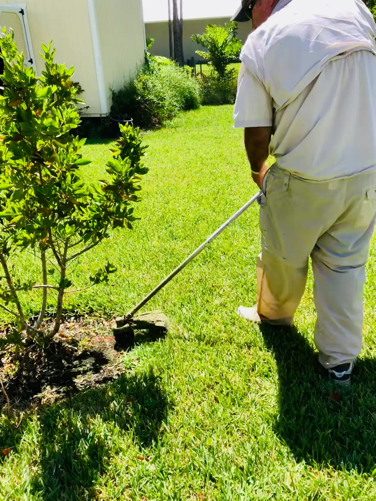 Thin patchy lawn in Westchester County NY before aeration treatment
