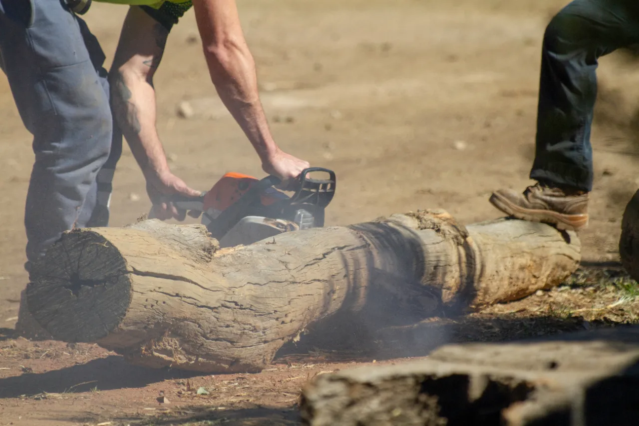 Multiple stump removal in Westchester County NY — J Martinez Construction