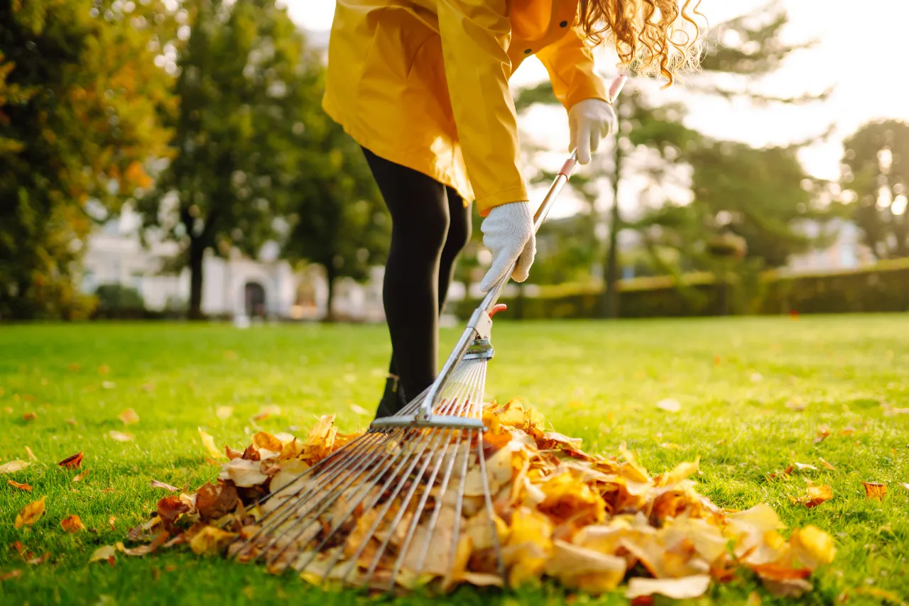 Leaf removal service in New York — J Martinez Construction