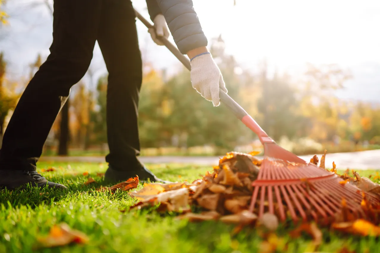 Property cleanup in Putnam County NY — J Martinez Construction