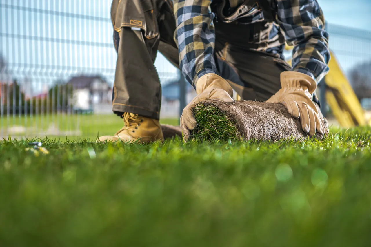 Professional sod installation in New York — J Martinez Construction