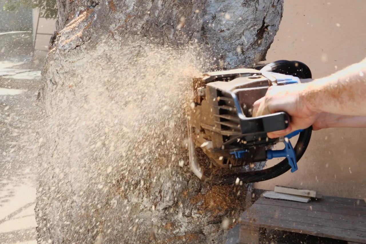 Professional stump removal in Westchester County NY