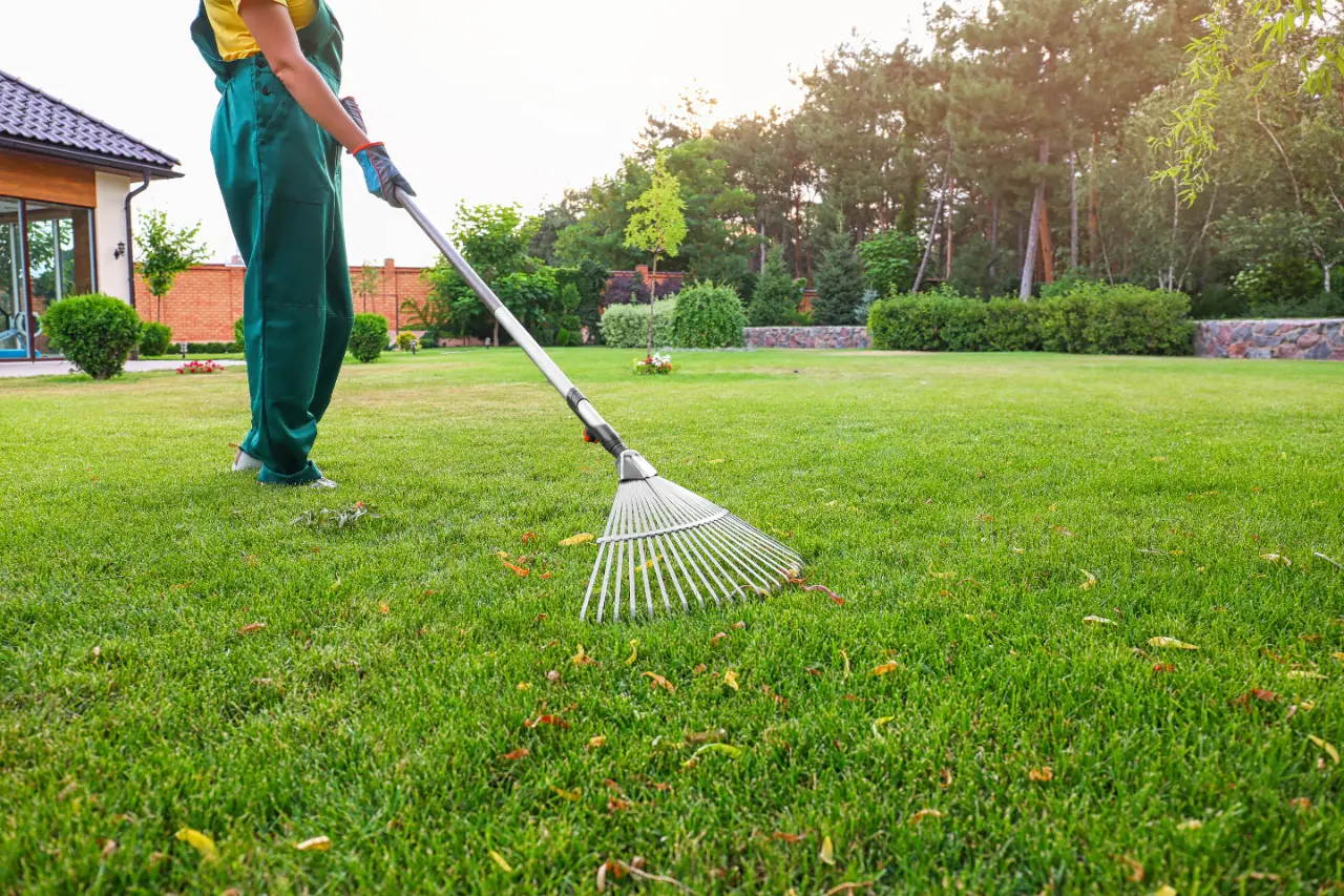 Lawn Care & Aeration in North Salem, NY — J Martinez Construction