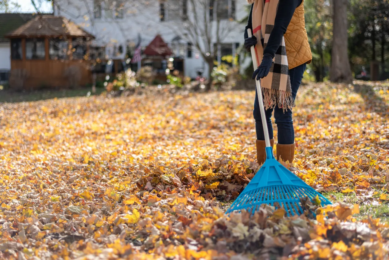 Spring cleanup service in Westchester County NY
