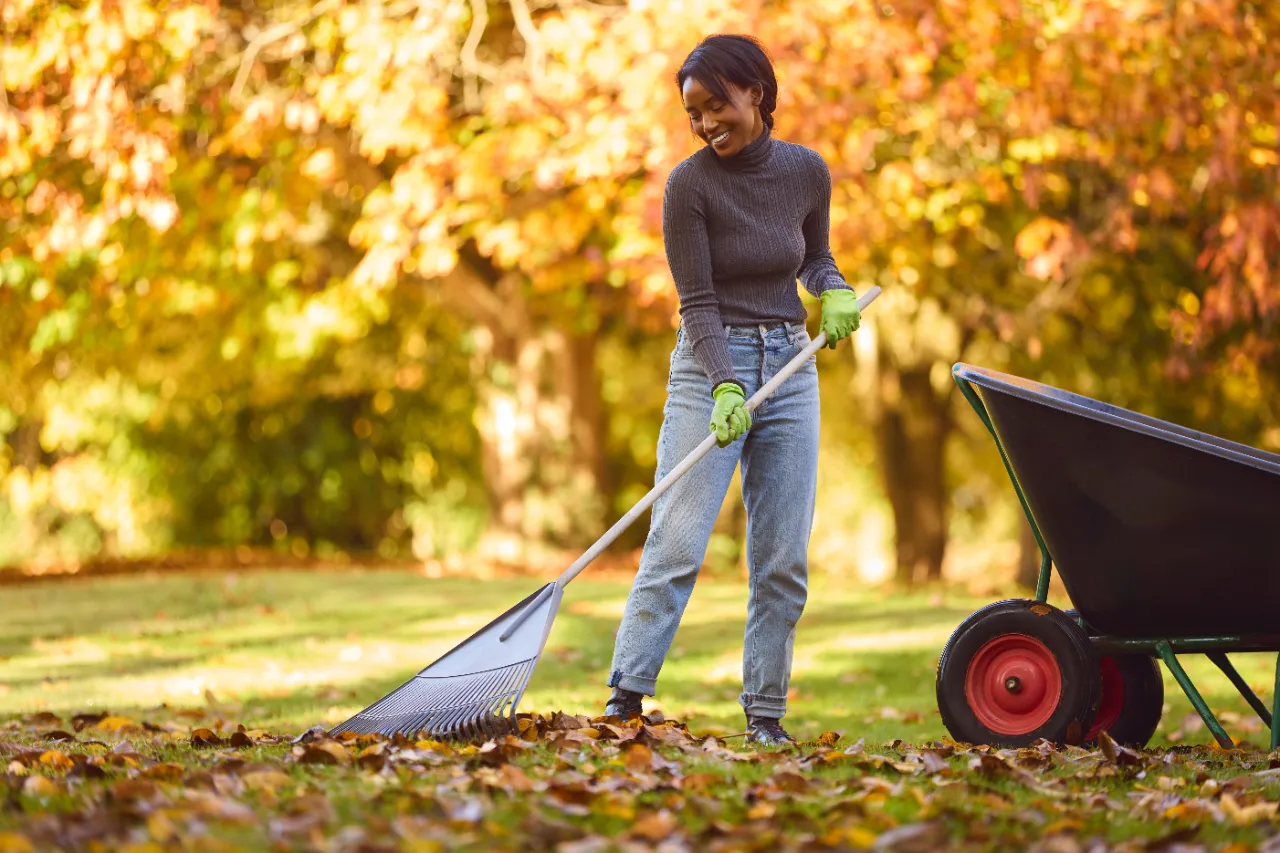 Fall leaf cleanup in New York — J Martinez Construction
