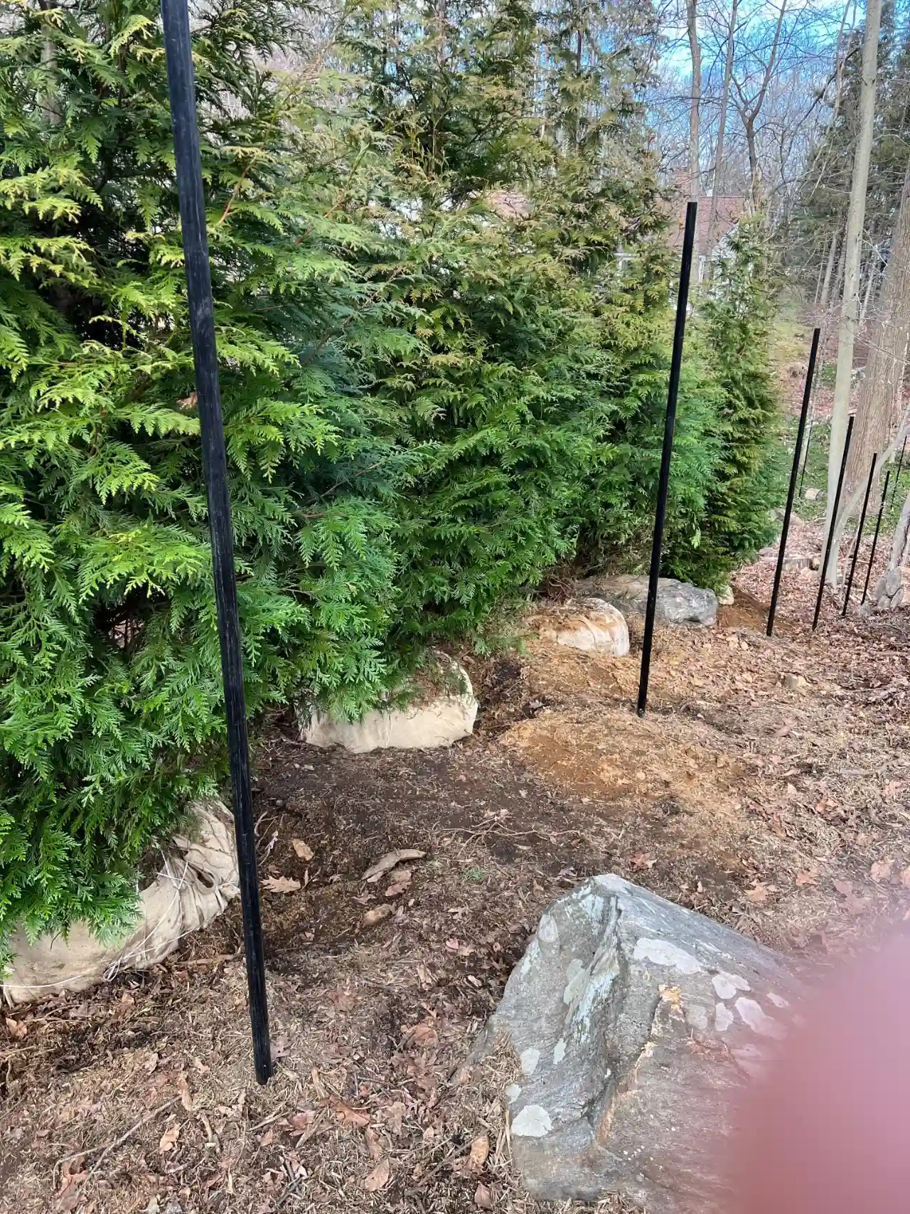 Tree removal service in New York — J Martinez Construction