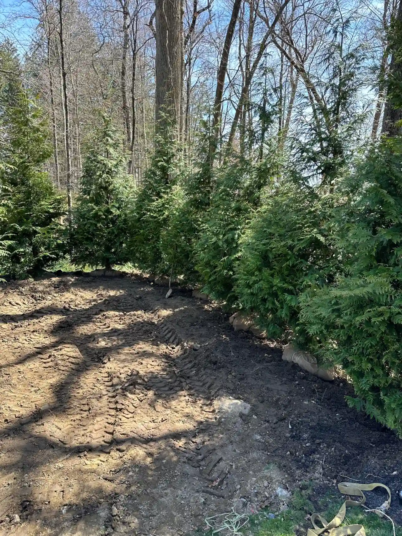 Large tree removal in Putnam County NY — J Martinez Construction