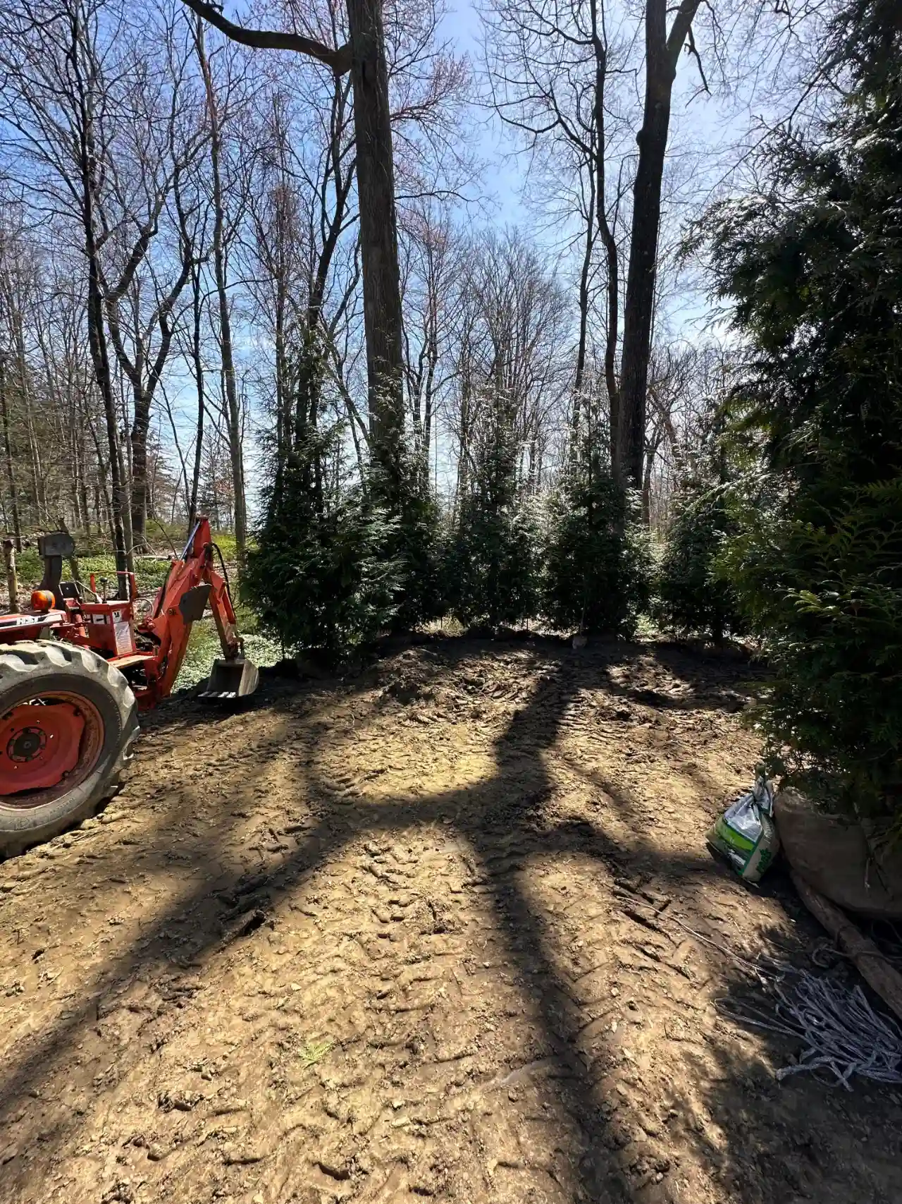 Professional tree service in New York — J Martinez Construction