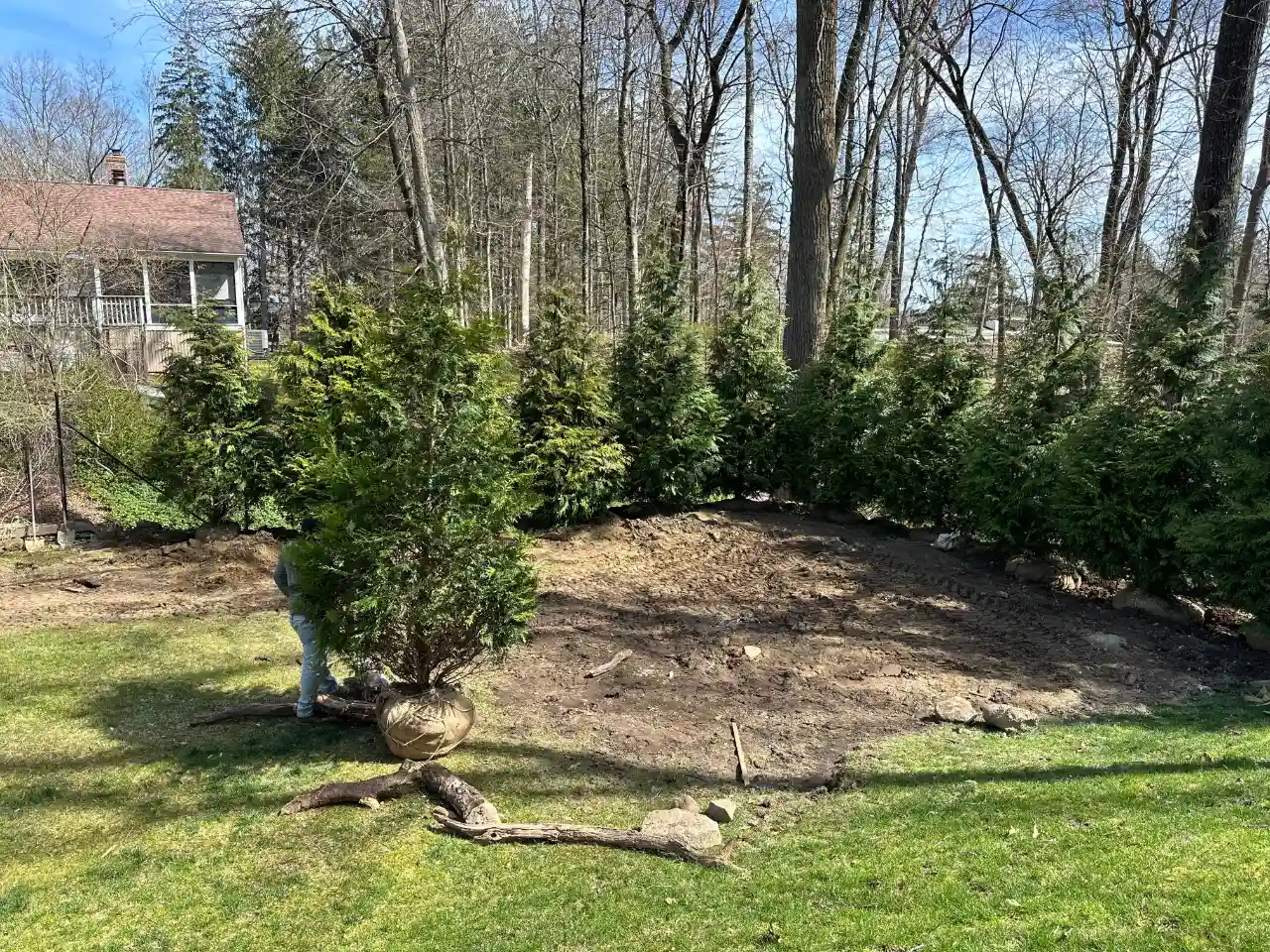 Tree trimming near structure in Westchester County NY